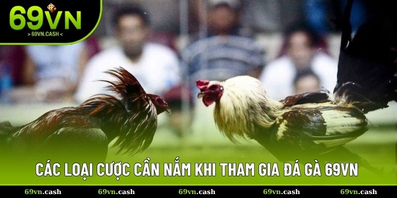 Các loại cược cần nắm khi tham gia đá gà 69VN