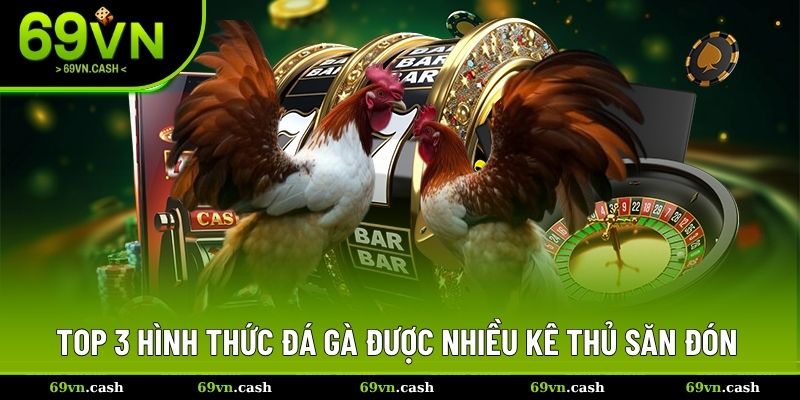 Top 3 hình thức đá gà được nhiều kê thủ săn đón
