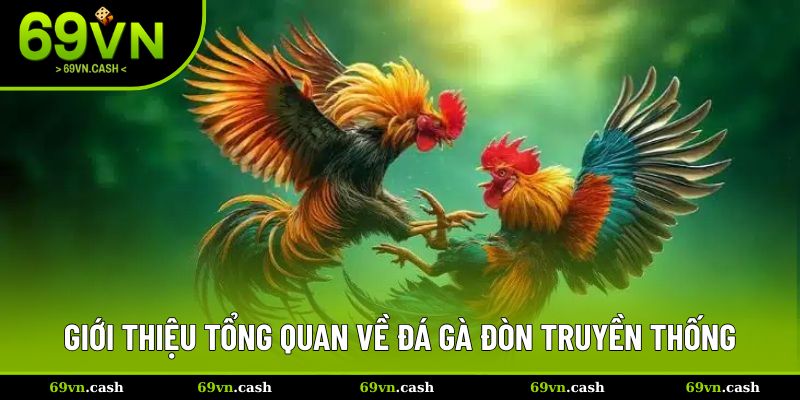 Tìm hiểu về đá gà đòn truyền thống