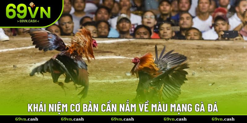 Khái niệm cơ bản cần nắm về màu mạng gà đá