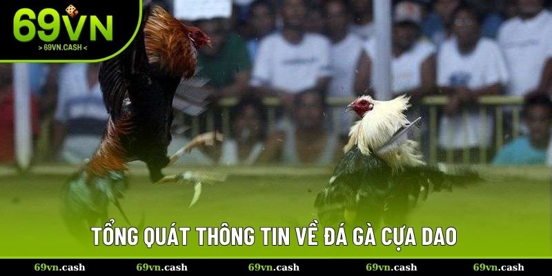 Tổng quát thông tin cơ bản về đá gà cựa dao