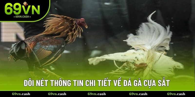 Đôi nét thông tin chi tiết về đá gà cựa sắt