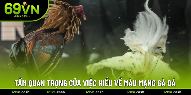 Tầm quan trọng của việc hiểu về màu mạng gà đá